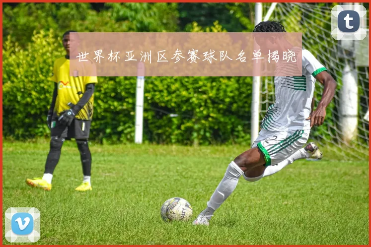 世界杯亚洲区参赛球队名单揭晓
