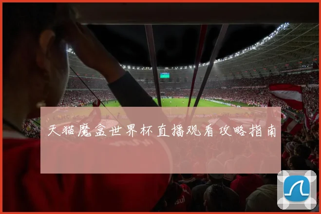 天猫魔盒世界杯直播观看攻略指南
