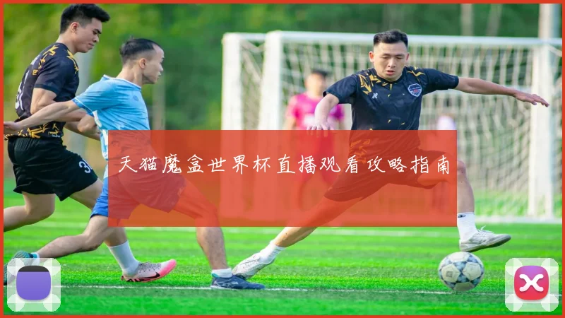 天猫魔盒世界杯直播观看攻略指南